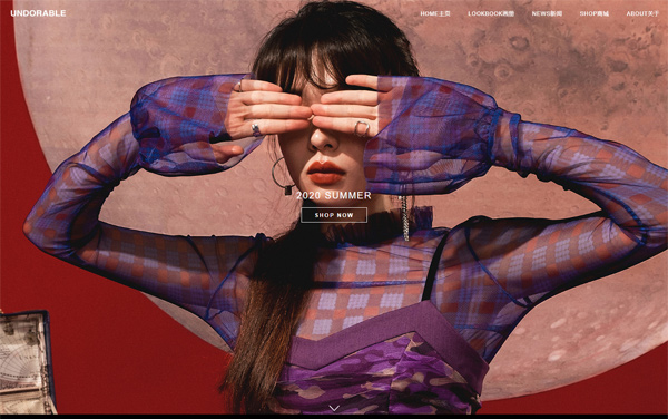 自由鲸服饰高端设计网站案例（深圳）